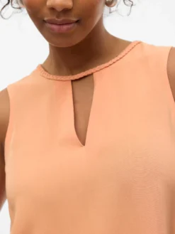 VMBIA Top